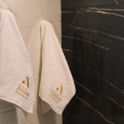 Фото Отель Aisha Hotel (Аиша)