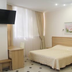 Фото Отель Сокол