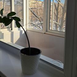 Апартаменты стандарт проспект имени Ленина, 121