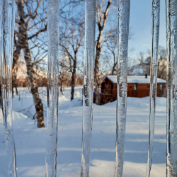 Фото Отель Kamchatka Forest Lodge (Камчатка Форест Лодж)