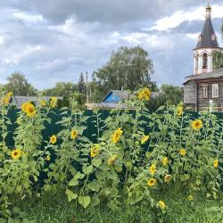 Фото Отель Дом в ДНП Залесье