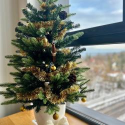 2-комнатные апартаменты улучшенные