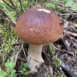 Фото Отель Сударь