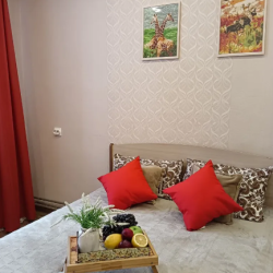 1-комнатные апартаменты стандарт