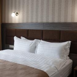 Фото Отель Родина