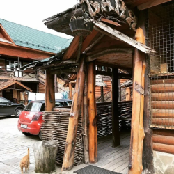 Фото Отель Соколиное Гнездо