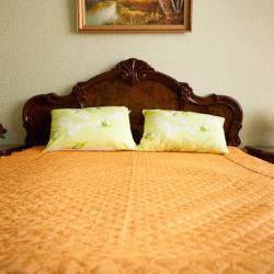 Фото Отель Сказка