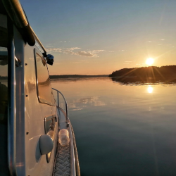 Фото Отель Гостевой комплекс Сосны