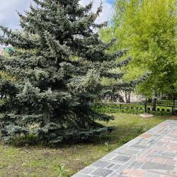 Фото Отель Фаворит (бывш. Оазис)