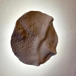 1-комнатные апартаменты улучшенные