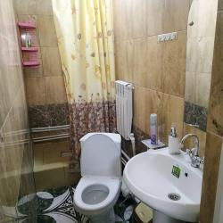 Фото Отель Эмиль