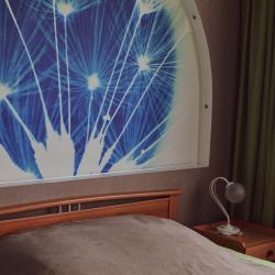 Номер люкс с 1 двуспальной кроватью