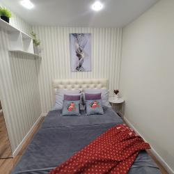 Фото Симбирские апартаменты на улице Гончарова