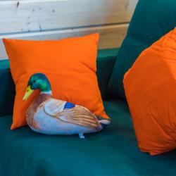 Фото Отель Утиная история