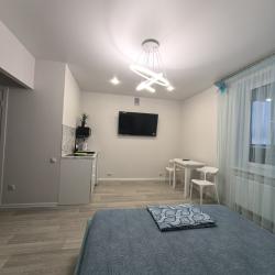 Апартаменты студия №233