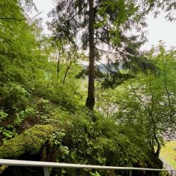 Фото Отель Дух Тайги