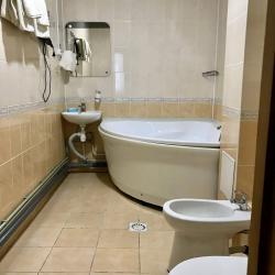 2-комнатный номер люкс с 1 двуспальной кроватью