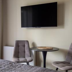 1-комнатные апартаменты студия Turgenev apartments