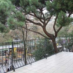 Номер стандарт с 2 односпальными кроватями