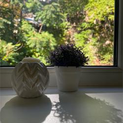 Фото Отель Сириус