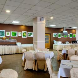 Фото АМАКС Отель Россия