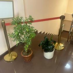 4-местный номер улучшенный семейный