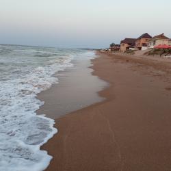 Фото Отель Сафари