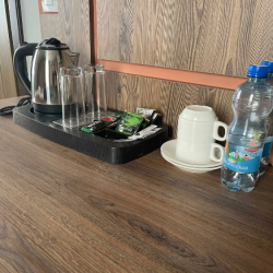 Фото Отель Holiday Inn Pskov (Холидей Инн )