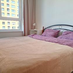 1-комнатные апартаменты стандарт №5