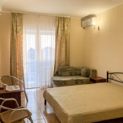 2-местный 1-комнатный номер улучшенный комфорт с 1 двуспальной кроватью