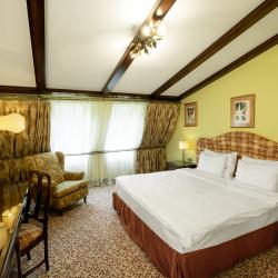 Номер делюкс с 1 двуспальной кроватью (мансарда)