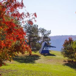 Фото Отель Звездный