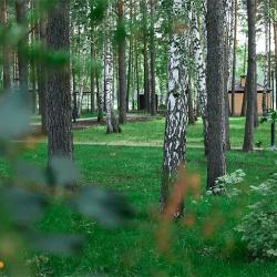 Фото Отель Лесной