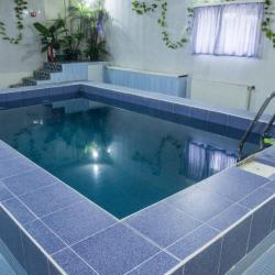 Фото Отель Лесной