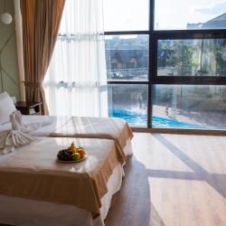 Номер стандарт комфорт с видом на бассейн #302