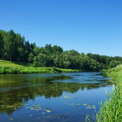 Фото Отель Прибрежный Ярбург