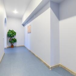 фото 19 Sutki Rent (Сутки Рент) у Исаакиевского собора