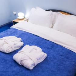 Номер люкс бизнес с 1 двуспальной кроватью