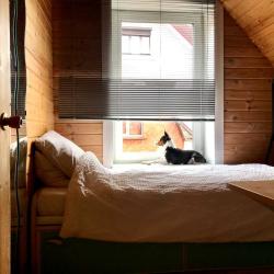 Фото Отель Дом в СНТ Ивушка 216