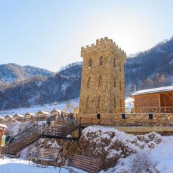 Фото Отель Экопарк Долина Нарзанов