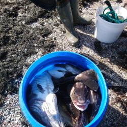 Фото Апартаменты на улице Новая дом 1