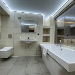 Номер полулюкс бизнес с 1 двуспальной кроватью (с видом на вулканы)