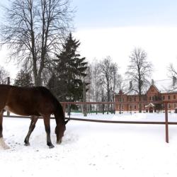 Фото Отель Малиновая слобода