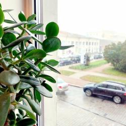 1-комнатные апартаменты стандарт