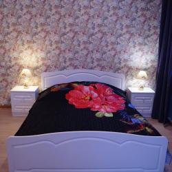 Фото Отель Вингс