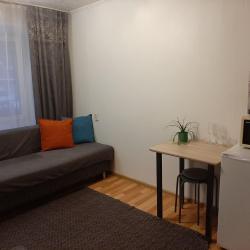 Фото Апартаменты на улице Грибоедова 8