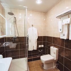 Номер полулюкс улучшенный с 1 двуспальной кроватью (с завтраком) #202