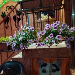 Фото Отель Мур ля Мур