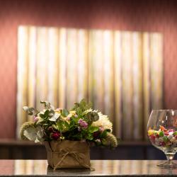 Белый Лотос — 9141fda8dcf7087d011b659fb7867abe