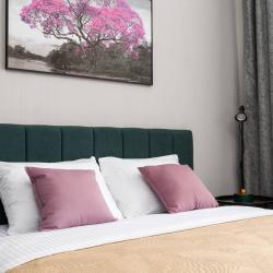 Фото Апартаменты на улице Бородинская